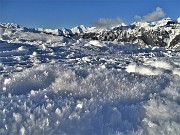 75 Cristalli di neve  splendenti 